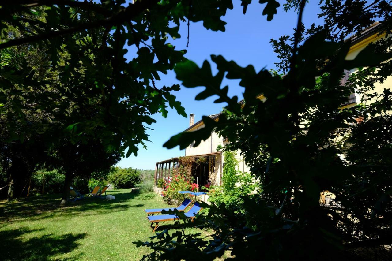 Casa Monteluro - B&B Tavullia Εξωτερικό φωτογραφία